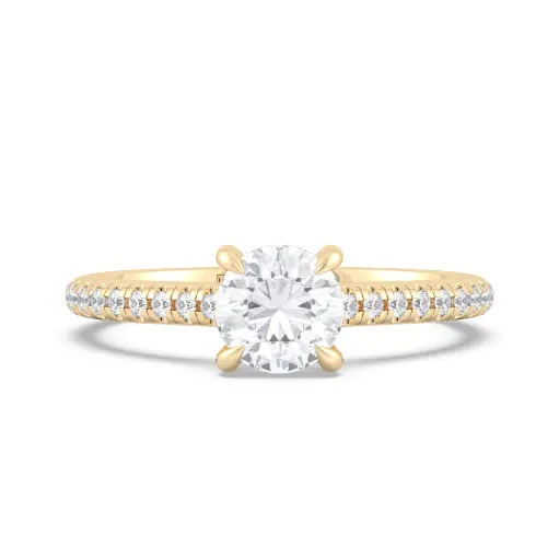 Aavi Hidden Halo Diamond Ring